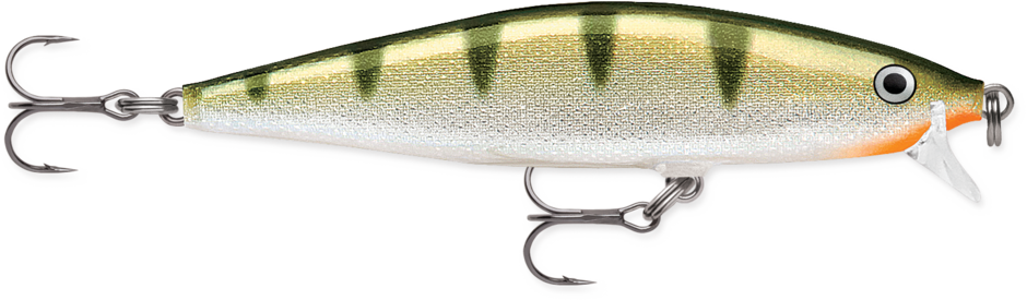 Flat Rap 08 Yellow Perch