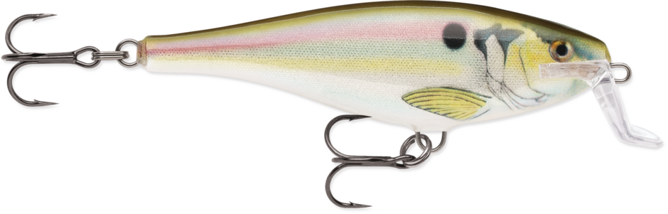 Super Shad Rap 14 Live River Shad