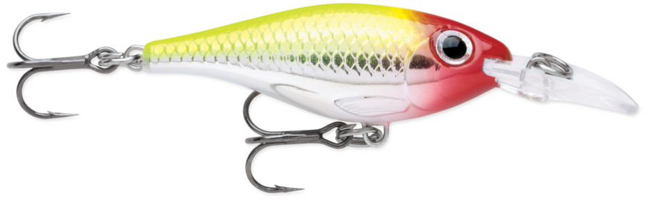 Sub Pesca Esca Artificiale Rapala Ultra Light Minnow 4/6 Cm - Wobbler Miniatura Per Trote, Persici E Altri Predatori D'acqua Dolce Ocean Crawler Sub Pesca Esca Artificiale Rapala Ultra Light Minnow 4/6 Cm - Wobbler Miniatura Per Trote, Persici E Altri Predatori D'acqua Dolce Ocean Crawler