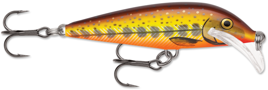 Scatter Rap Countdown 07 Hot Mustard Muddler