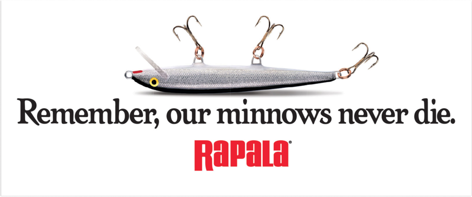 Rapala Dead Minnow Decal