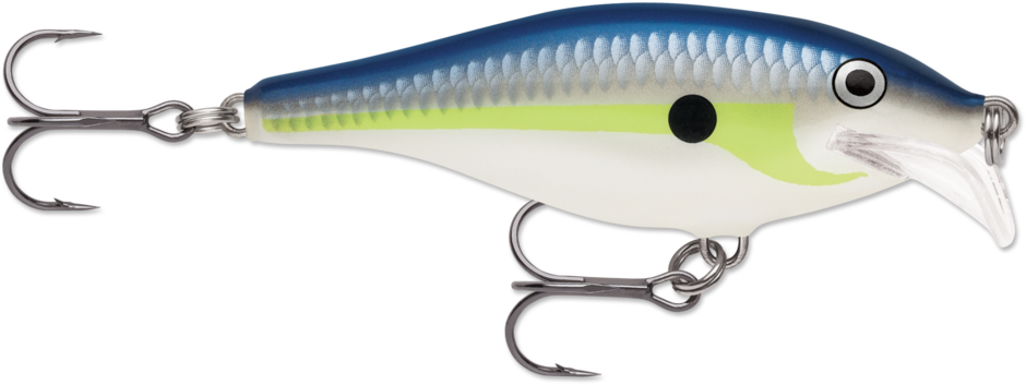 Scatter Rap Shad 07 Helsinki Shad