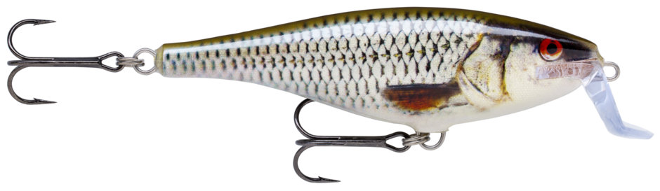 SUPER SHAD RAP 14 Live Roach