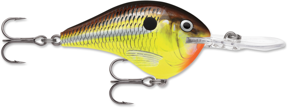 Rapala DT クランクベイト セット DT® (Dives-To) Series | Rapala