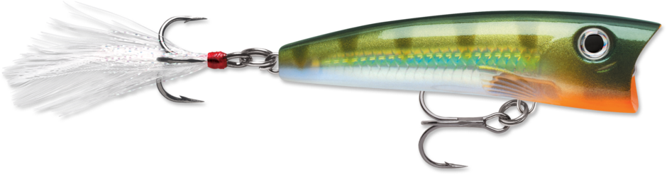 X-Rap Pop 07 Yellow Perch