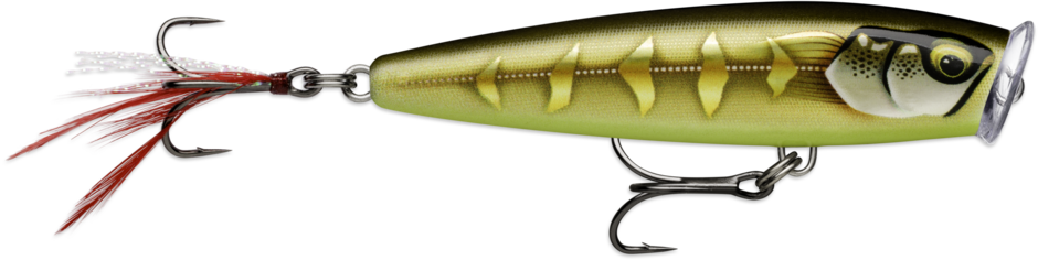 Skitter Pop Elite SPE75 GDSGS