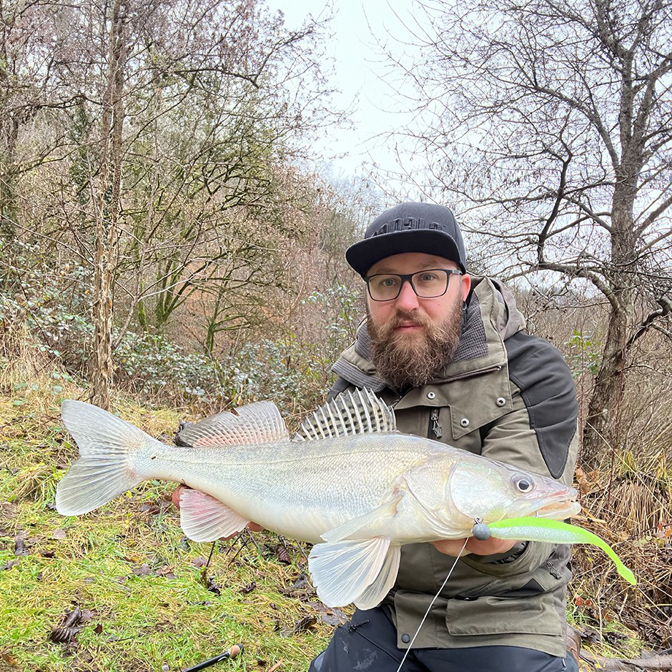 The Stingman CCSTINNE3 BRS