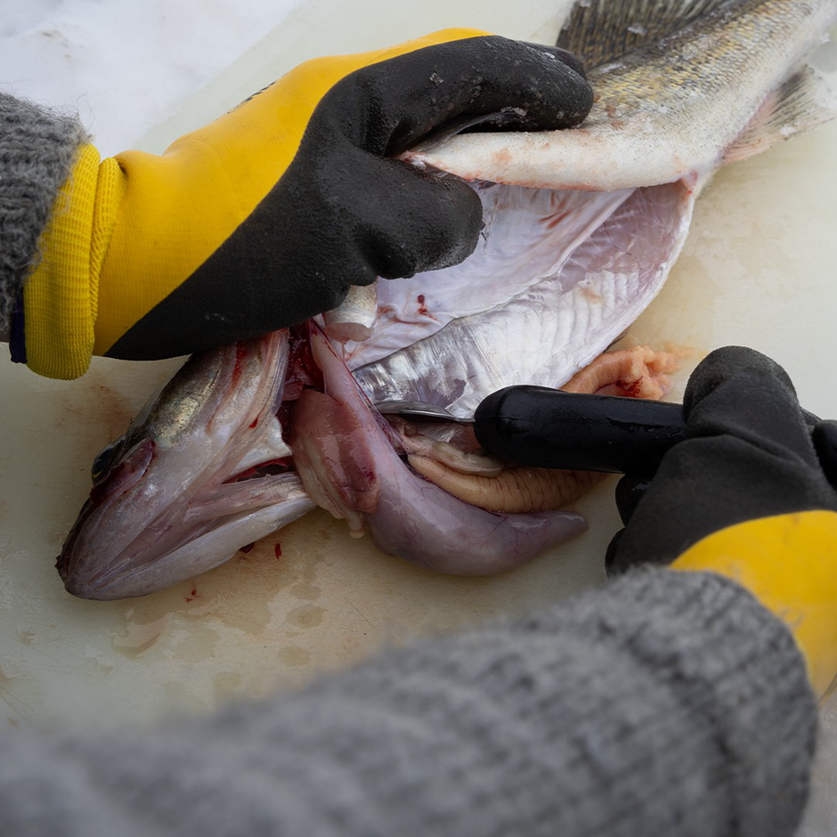 Fish Cleaner MY Kumikahvafiletit