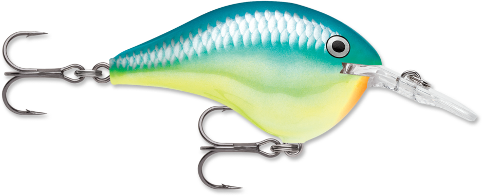 DT 04 Caribbean Shad