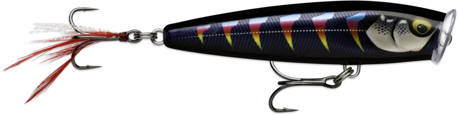 Skitter Pop Elite SPE95 GDNIA