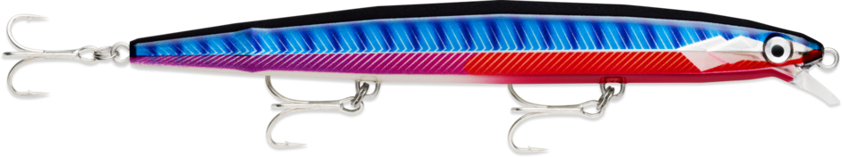 Flash-X Extremo FXEX16 STBL