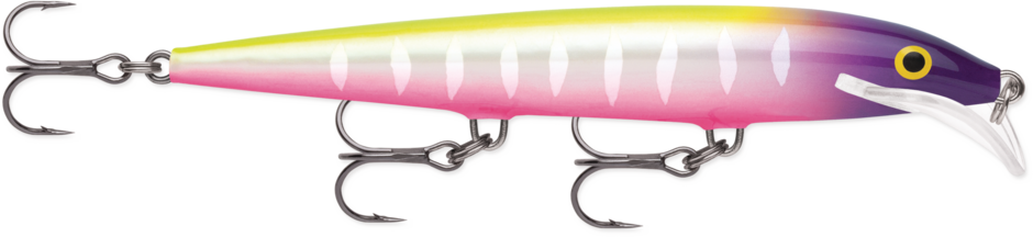 434431ad161ed8_pru93egf0l0i5cpe5elvo0rt54.png