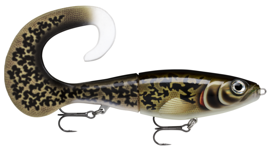 X-RAP OTUS 25 Artistic Burbot