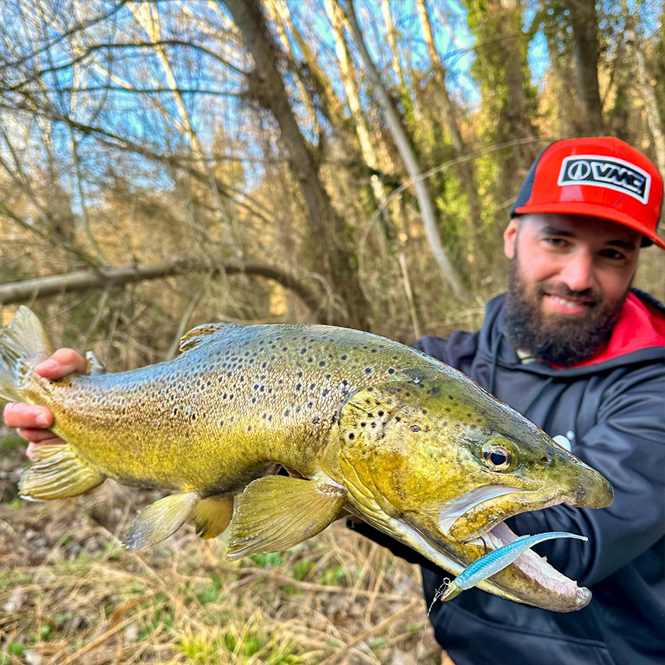 The Stingman CCSTINNE3 ASH