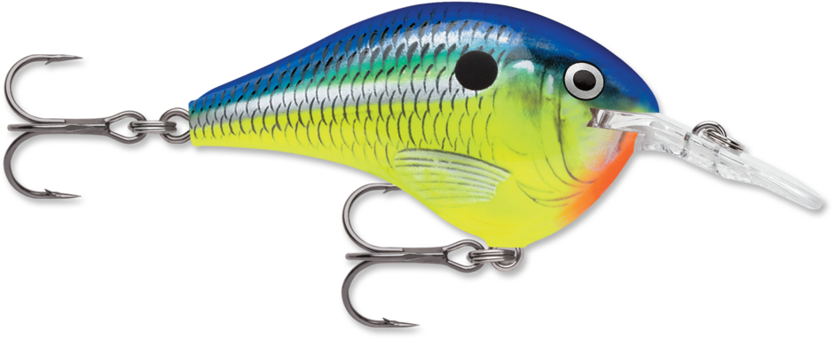 DT® (Dives-To) Series | Rapala