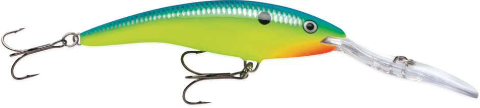 DEEP TAIL DANCER 09 Parrot