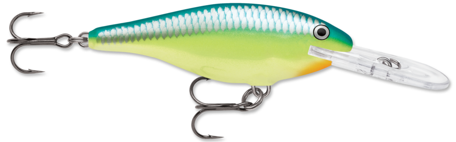 Shad Rap 05 Caribbean Shad