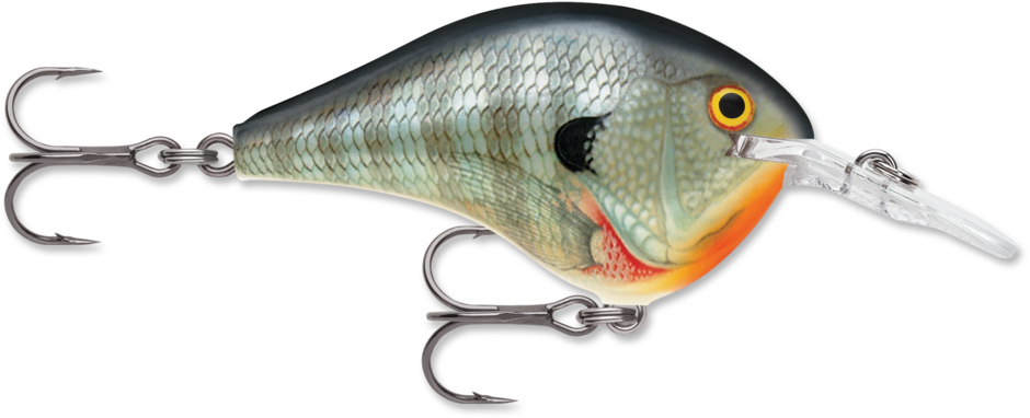 DT® (Dives-To) Series | Rapala