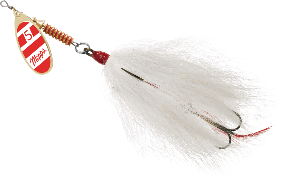 4ee4849524d99f_3onf048rph5a5e8