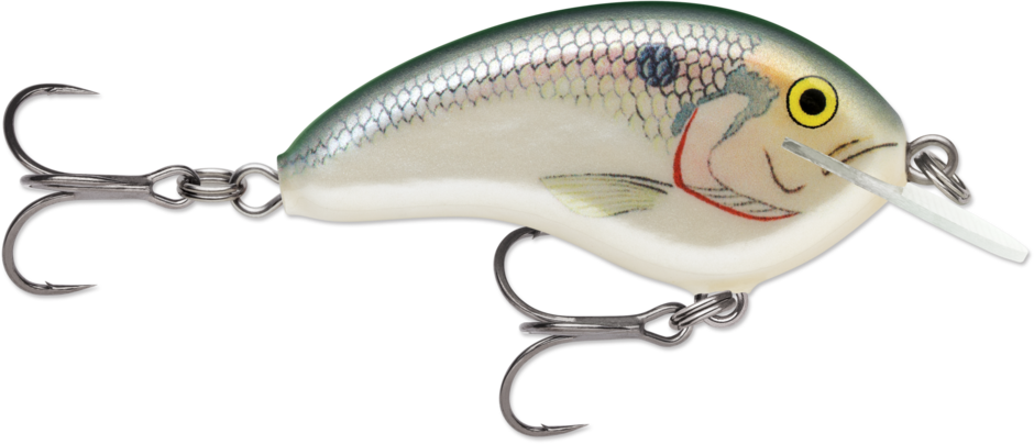 OTT´S GARAGE TINY 04 Shad