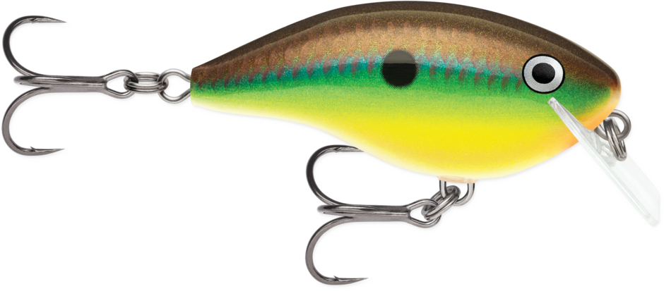 OTT´S GARAGE BIG ROCCO 06 Bream