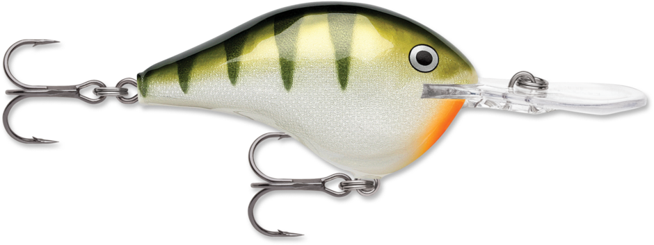 Dives To 12 Yellow Perch