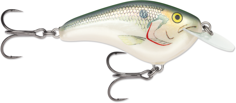 Ott's Garage Slim 06 Shad