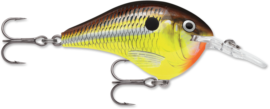 Rapala® DT® (Dives-To) Series | Rapala® International Site