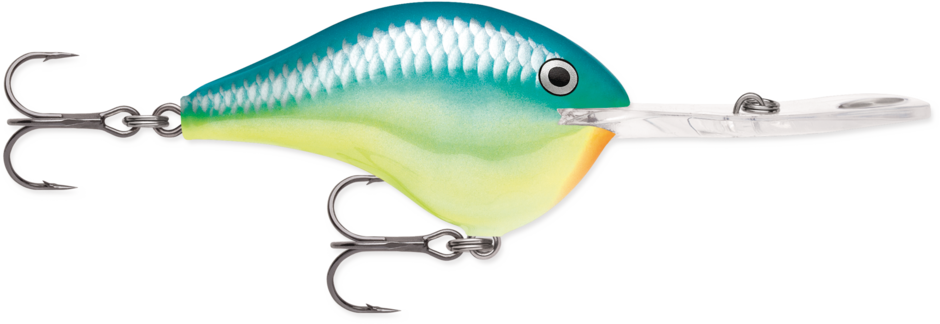 DTMSS 20 Caribbean Shad
