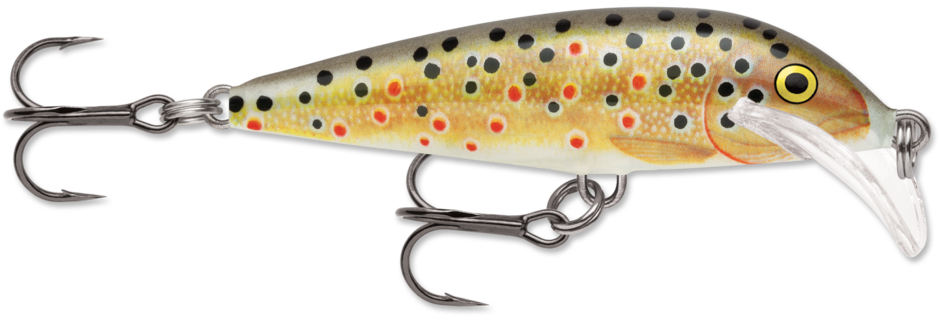 Scatter Rap Countdown 07 Brown Trout