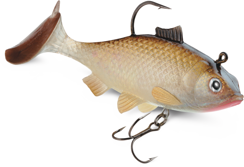 WILDEYE LIVE SHINER 04 /