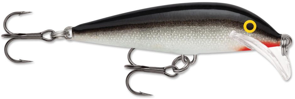 SCATTER RAP COUNTDOWN 07 Silver