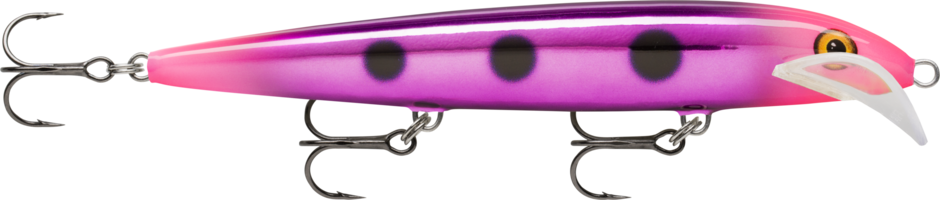 Scatter Rap Husky 13 Rave