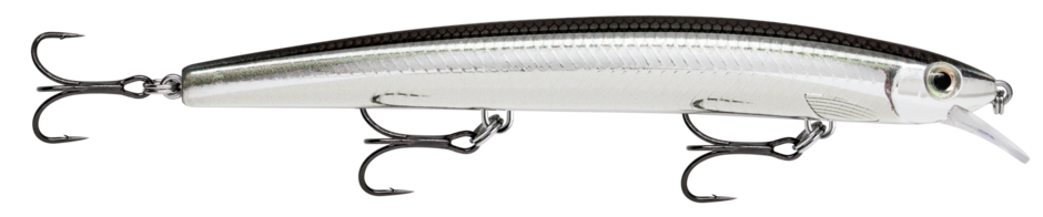 MAXRAP 15 Live Pejerrey