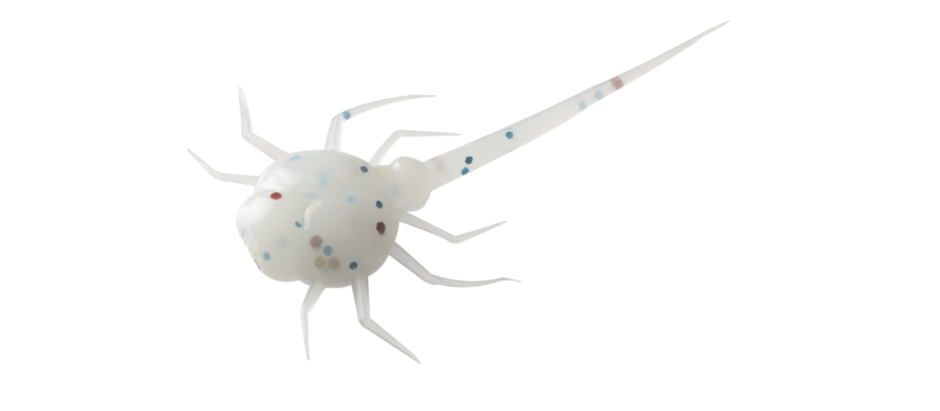 Coconut Crab Panfish Plastics Wonder Bread 6-p