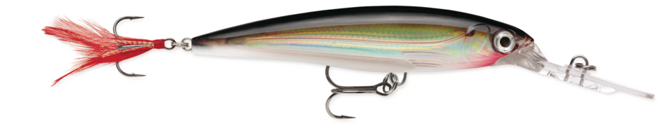 X-RAP DEEP 10 Silver Silver