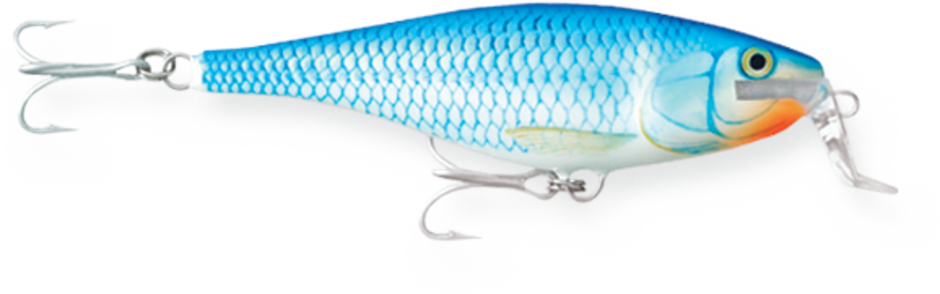 SUPER SHAD RAP 14 Blue Shiner