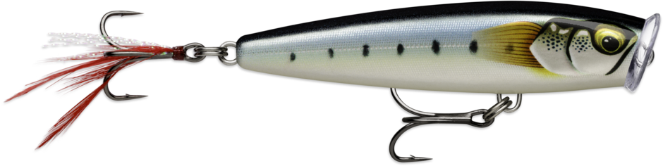 Skitter Pop Elite SPE95 GDMI