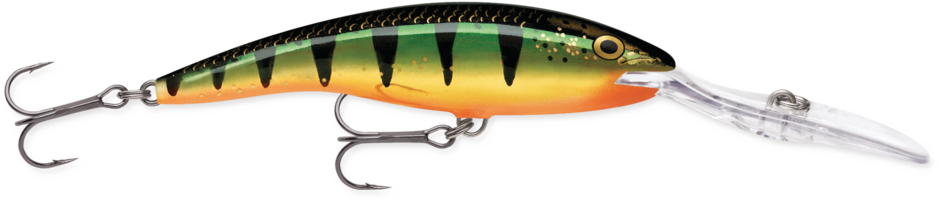 Deep Tail Dancer 11 Flash Perch