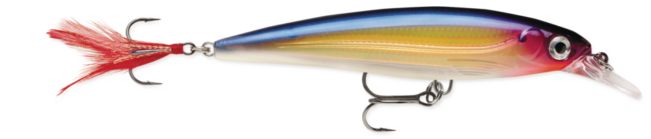 X-Rap 08 Purple Gold