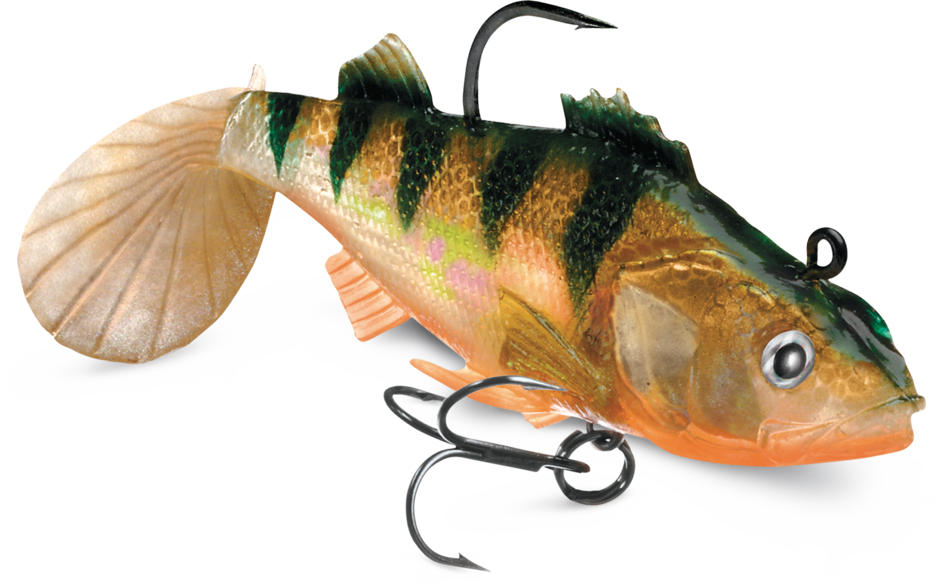 WILDEYE LIVE PERCH 04 /