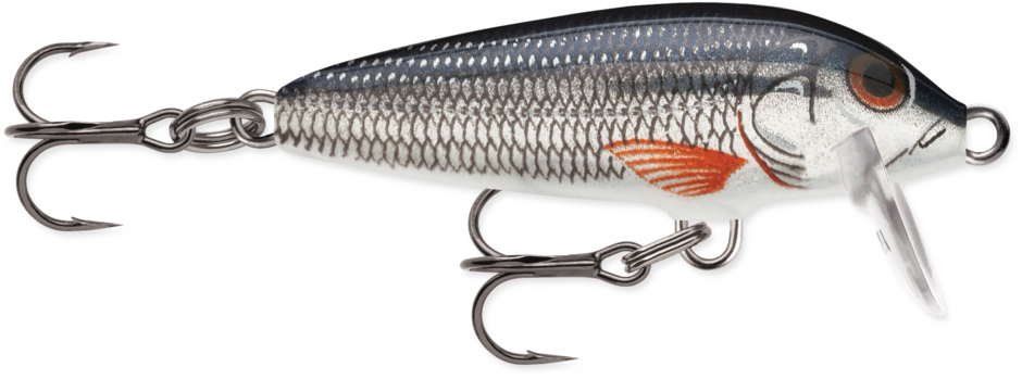 ORIGINAL FLOATER 03 Silver Shiner