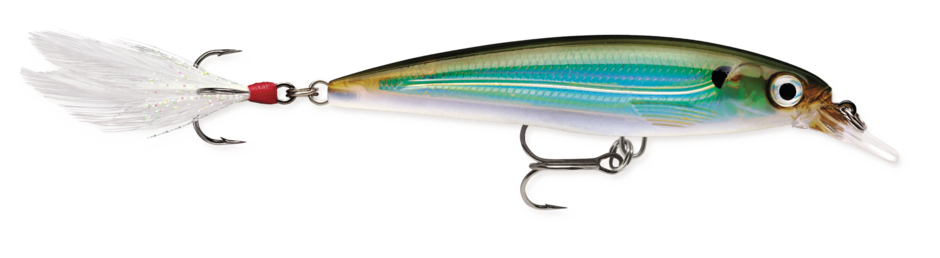 X-RAP 10 Moss Back Shiner
