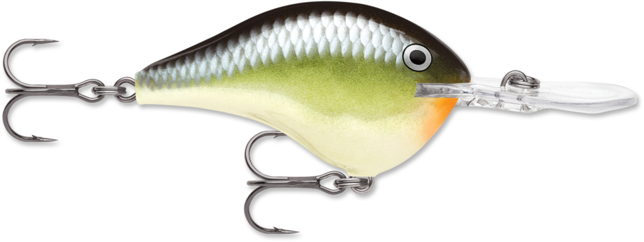 DT® (Dives-To) Series | Rapala