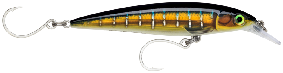 Rapala Flash-x Extremo 16 As - Jerk Salt Water | Nencini Sport