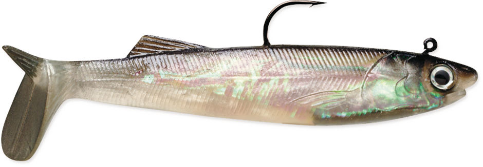 WILDEYE LIVE SALTWATER ANCHOVY 05 Anchovy