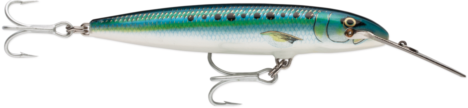 Countdown Magnum 14 Sardine