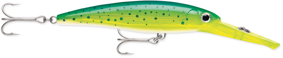 X-RAP MAGNUM 10 Dorado