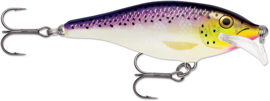 SCATTER RAP SHAD 07 Purpledescent