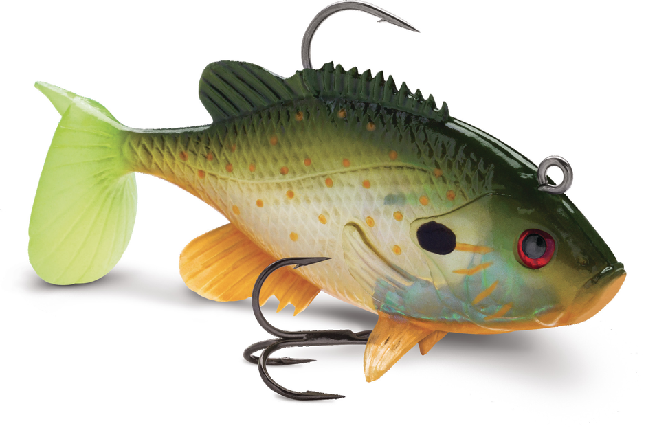 WILDEYE LIVE SUNFISH 03 /